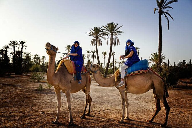 Quad Palm Grove Marrakech and Camel Ride Transport Included - Availability and Timing