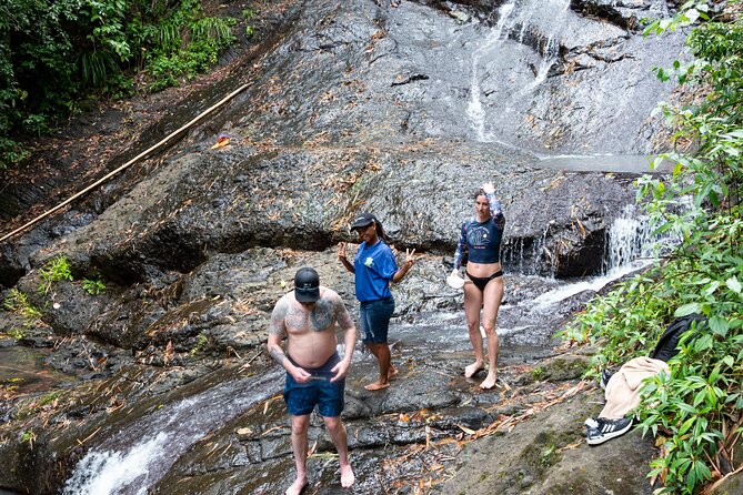 Rainforest Hike and Waterfall Safari - Logistics