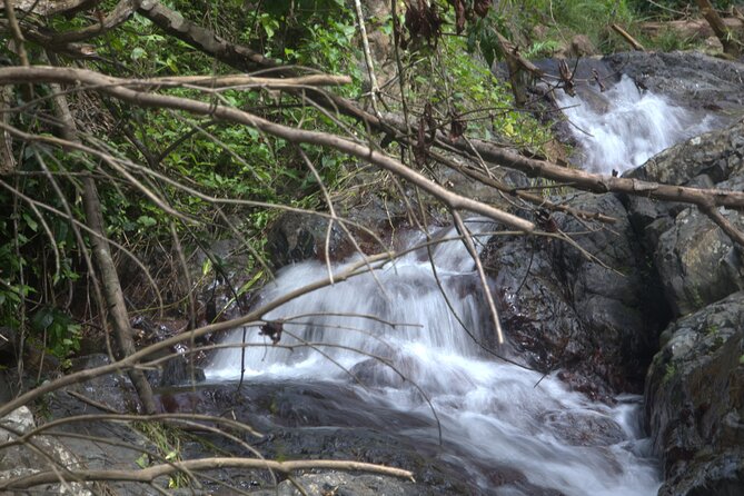 Rainforest Tour in San Juan, Puerto Rico - Hiking Difficulty