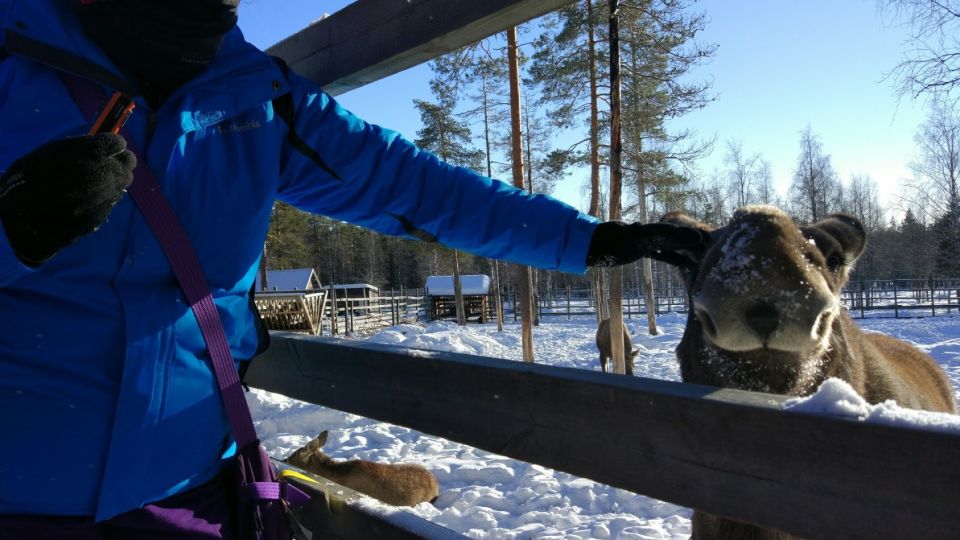 Ranua Wildlife Park Guided Tour From Rovaniemi - Booking and Cancellation