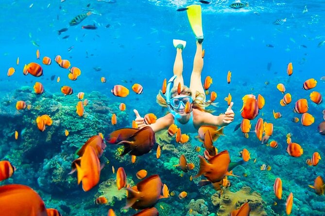 Ras Mohammed Full Day Sea Trip With Lunch by Boat Sharm El-Sheikh - Snorkeling in Coral Reefs