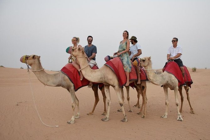 Red Dune Desert Safari,Camp Activities, BBQ Dinner, Live Show & Quad Bike Drive - Camel Ride and Sand Boarding