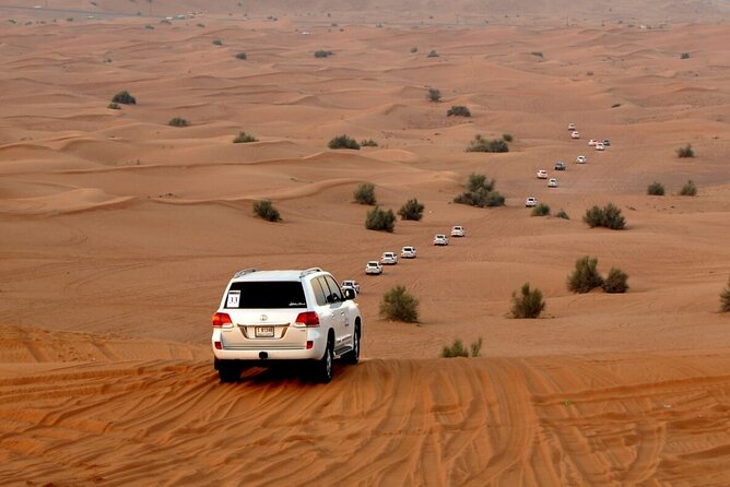 Red Dune Evening Desert Safari With Sandbashing and BBQ Dinner - Camel Riding and Falcon Viewing