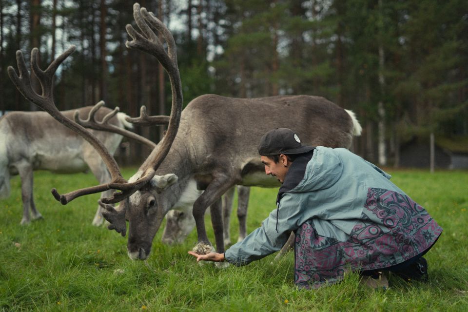 Reindeer Farm Visit With Professional Photographer - Professional Photography Service