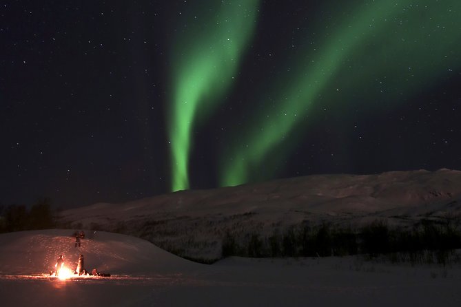 Reindeer Feeding & Saami Culture With Chance for Northern Lights - Meeting Point and Transfers