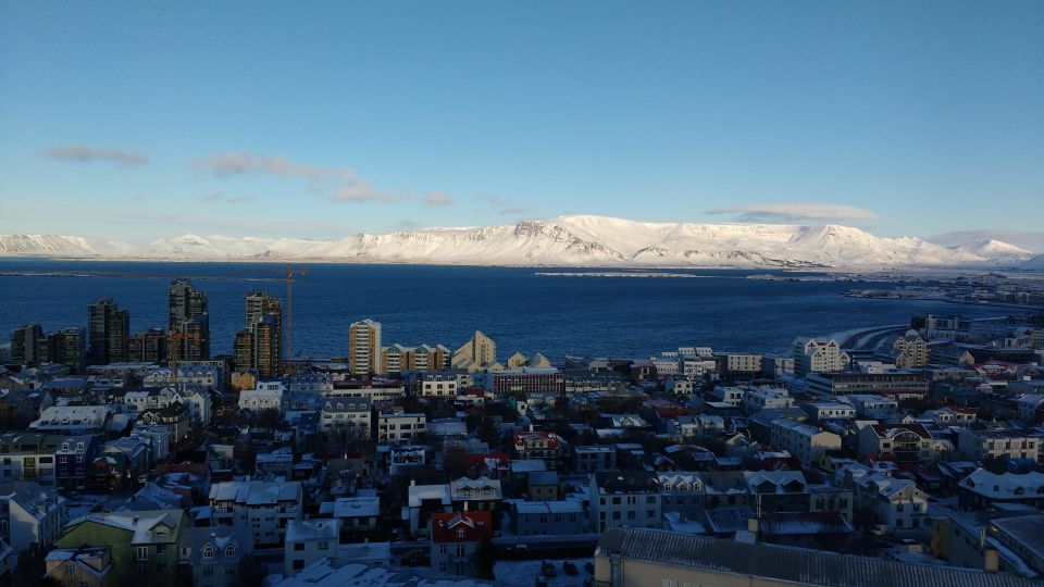 Reykjavik: Express Walk With a Local in 60 Minutes - Inclusions