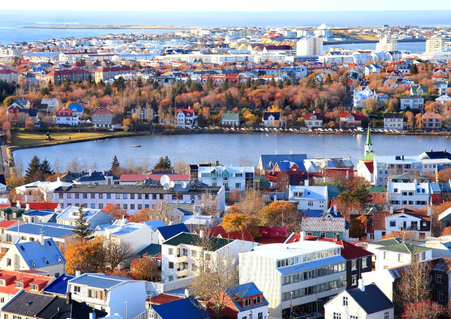 Reykjavik: Private Luxury Airport Transfer Service - Travel Time and Driver Service