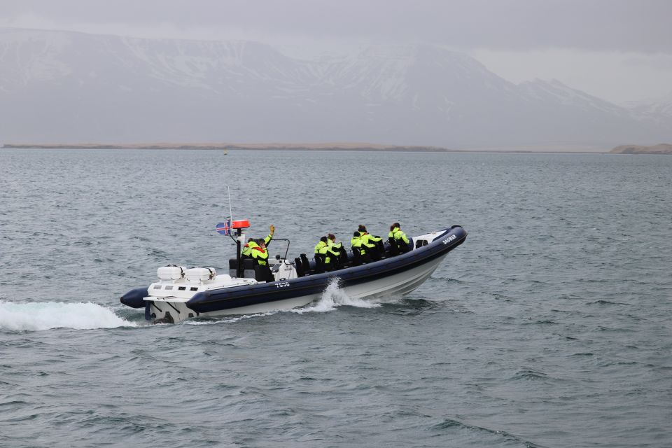 Reykjavik: Puffin Watching Tour by RIB Speedboat - Customer Ratings