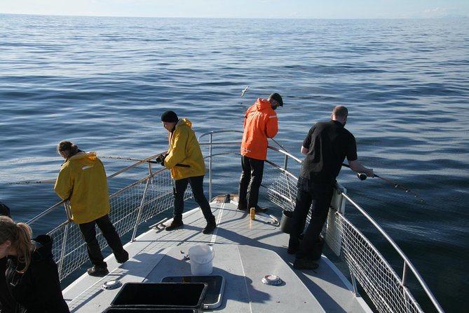 Reykjavik Sea Angling Gourmet - Fishing Grounds