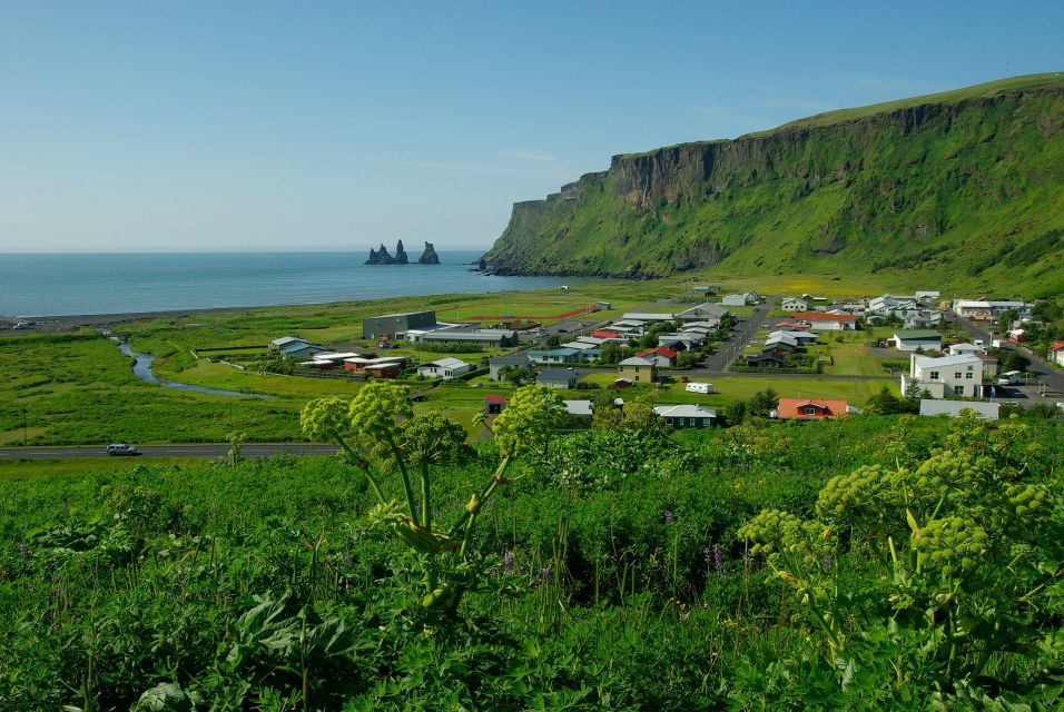 Reykjavik: South Coast Private Guided Day Tour - Reynisfjara Beach