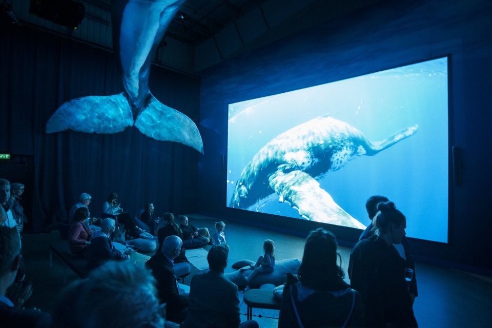 Reykjavik: Whale Watching Tour, Whales of Iceland Exhibition - Tour Inclusions and Exclusions