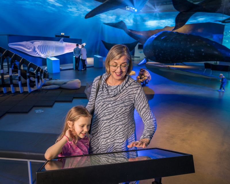 Reykjavik: Whales of Iceland Museum Entrance Ticket - Discount and Booking Options