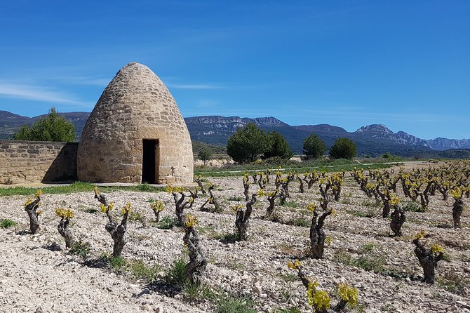 Rioja Full Experience Tour From San Sebastian With Lunch - Pickup and Drop-off Details