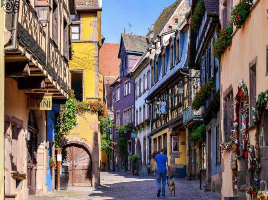 Riquewihr: Private Guided Walking Tour - Inclusions and Exclusions