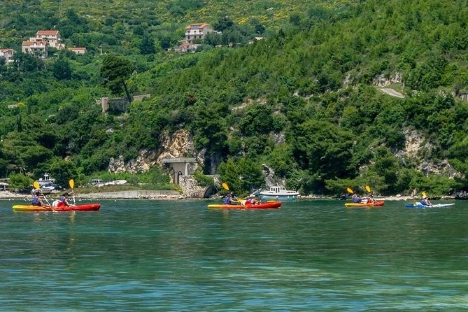 River Challenge Island Tour - Snorkeling in Clear Waters