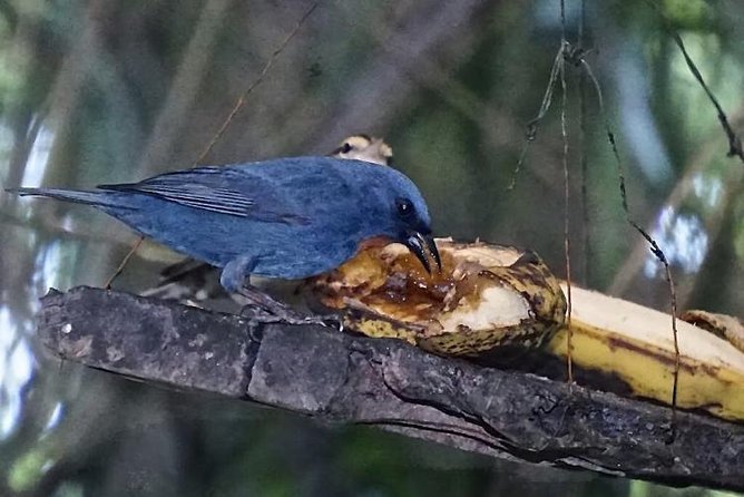 Rockland Bird Sanctuary and Hip-Strip Shopping - On-Site Dining and Refreshments