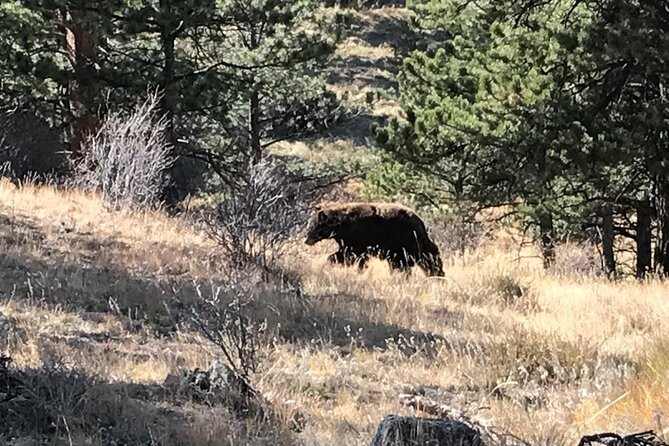 Rocky Mountain National Park in Summer Tour From Denver - Health and Safety Considerations