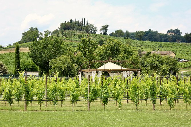 Romantic Lunch in the Vine Rows in Tuscany - Appetizer of Tuscan Specialties