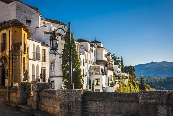 Ronda Village Guided Tour From Costa Del Sol - Accessibility and Group Size