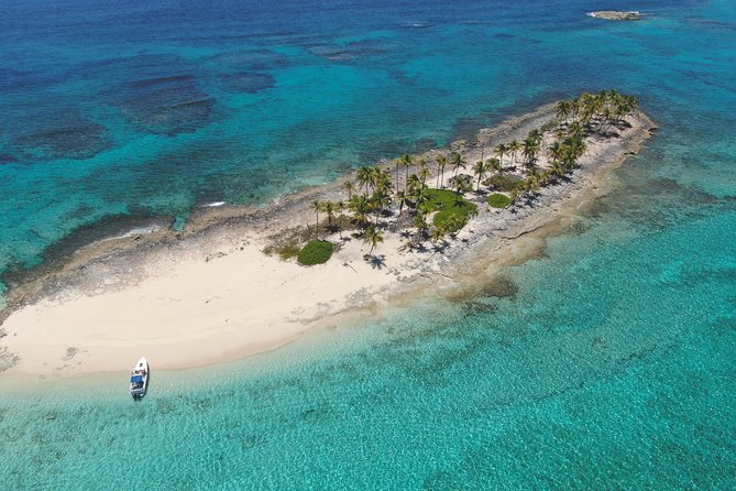 Rose Island Adventure: Snorkel, Sea Turtles, and Private Beach - Inclusions and Amenities Provided