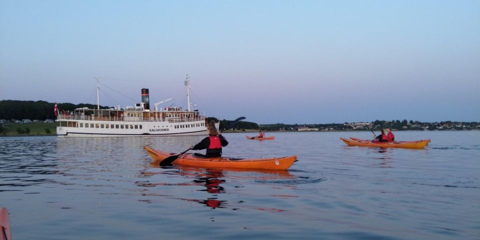 Roskilde: Guided Kayaking on Roskilde Fjord: Private Tour - Participant Restrictions and Policies