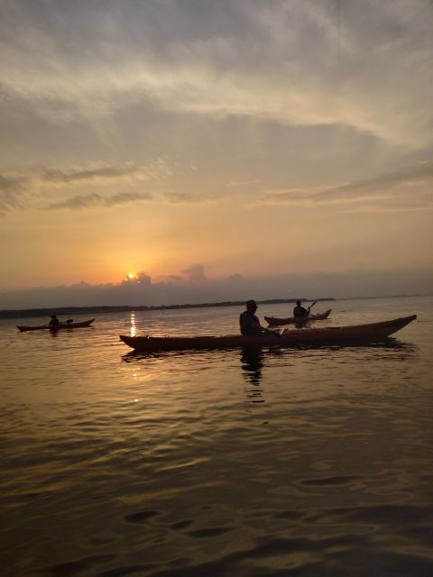 Roskilde: Guided Kayaking on Roskilde Fjord: Sunset Tour - Customer Feedback