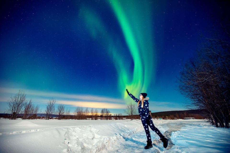 Rovaniemi: BBQ Picnic Experience Under Northern Lights - Taking in the Forest Setting