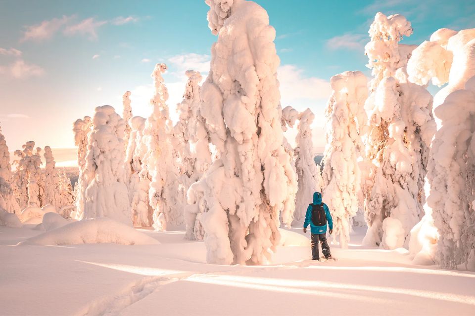 Rovaniemi: Hiking and Snowshoeing Adventure in Lapland - Important Information