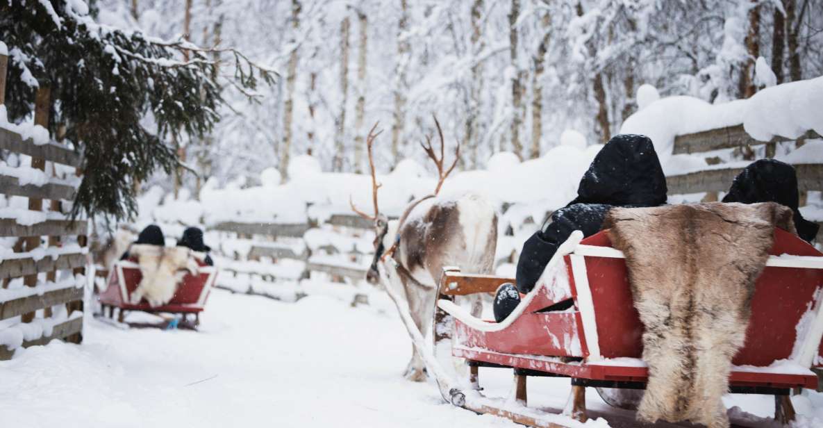 Rovaniemi: Husky Park and Reindeer Farm Combo - Included in the Tour