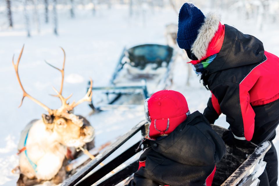 Rovaniemi: Husky & Reindeer Farm Visit With Snowmobile Ride - Husky Sleigh Ride Adventure