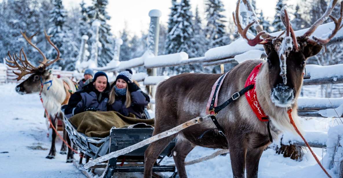 Rovaniemi: Local Reindeer Farm Visit With 2 Km Sleigh Ride - Reindeer Farm Visit