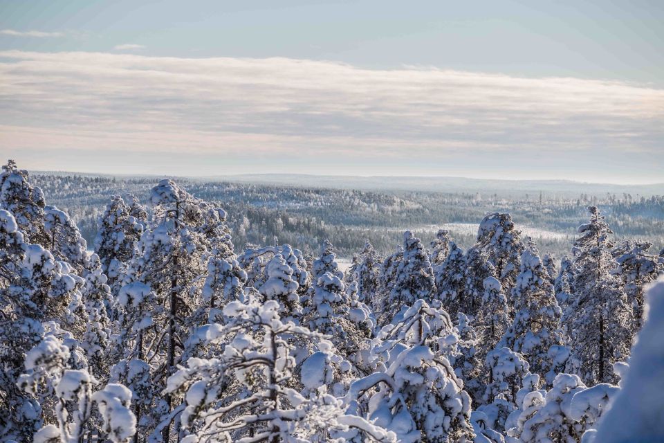 Rovaniemi: Nordic Forest Wilderness Adventure - Photography-Focused Expedition