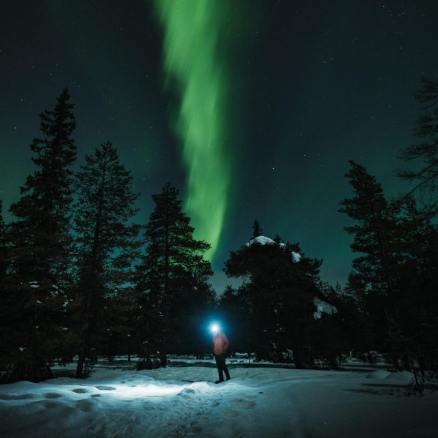 Rovaniemi: Northern Lights Hunt With a Photographer - Guided Transportation