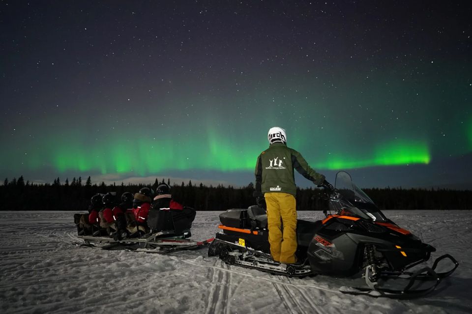 Rovaniemi: Northern Lights Sleigh Ride - Northern Lights Viewing Prospects