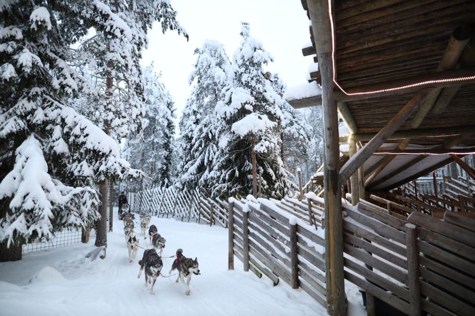 Rovaniemi: Santa Claus Village Tour & Reindeer & Husky Ride - Crossing the Arctic Circle