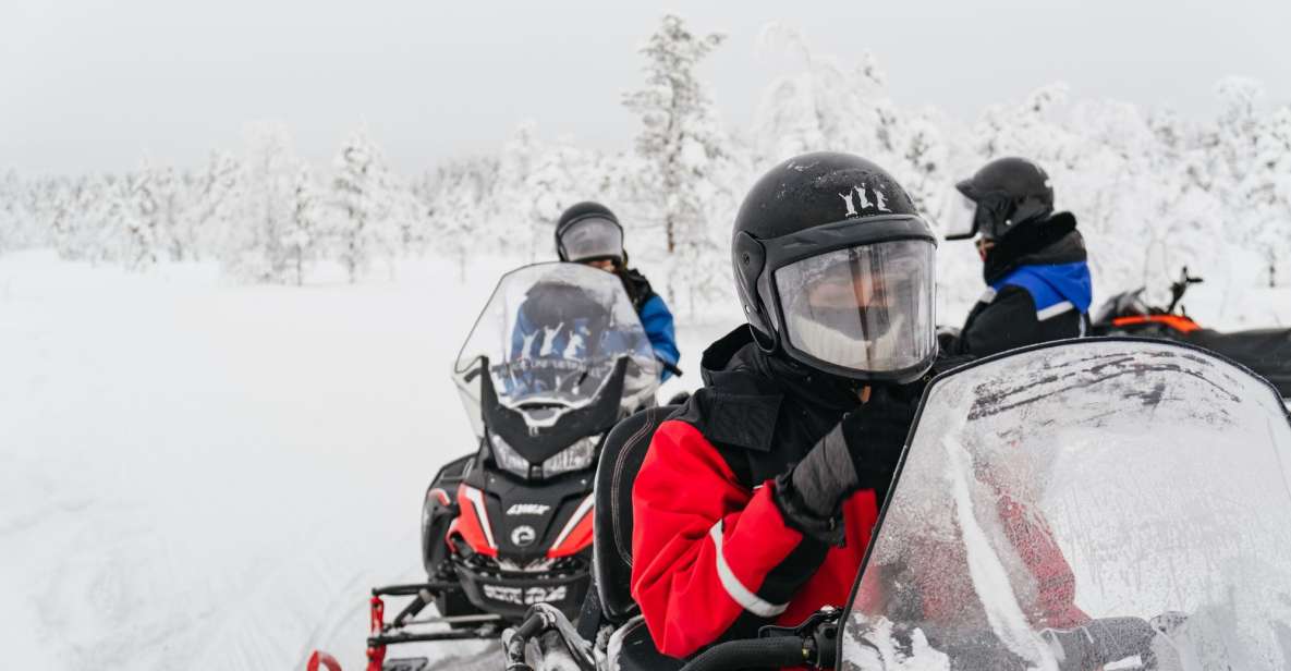 Rovaniemi: Snowmobile Safari, Reindeer & Husky Sleigh Ride - Snowmobile Safari Experience