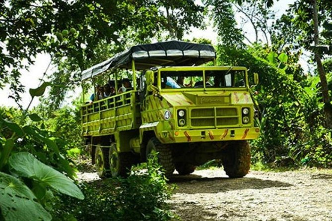 Safari Adventure - Full Day - From Punta Cana - Coconut Plantation