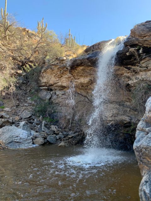 Saguaro National Park: Day Tour & Hike - Gourmet Picnic Lunch