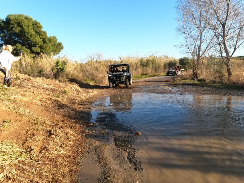 Salou: Buggy Safari With Hotel Transfer - Hotel Transfers