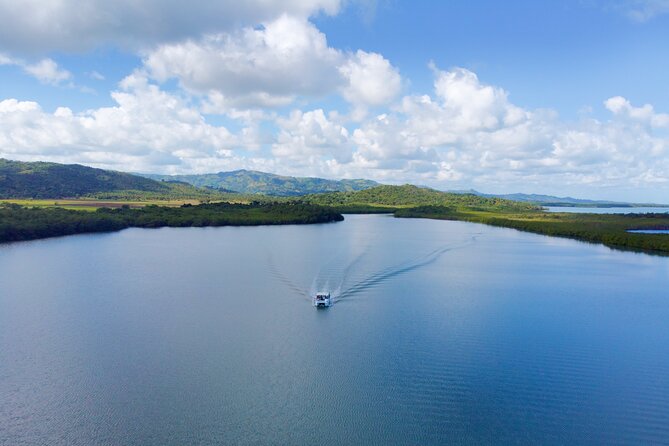 Samana Bay Whale Watching Full Day Tour With Lunch From Punta Cana - Customer Feedback