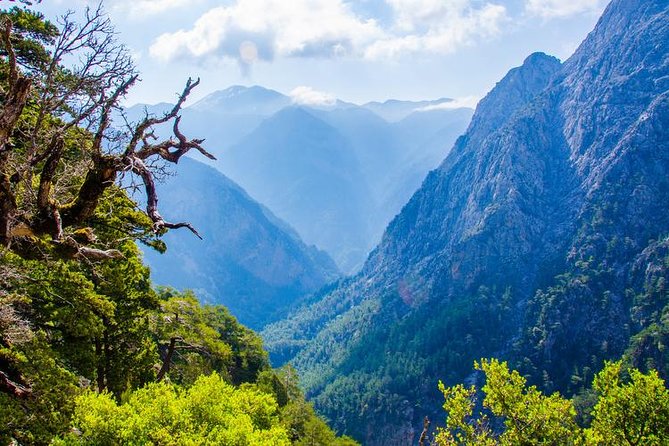 Samaria Gorge Tour From Chania - the Longest Gorge in Europe - Tour Reviews and Ratings