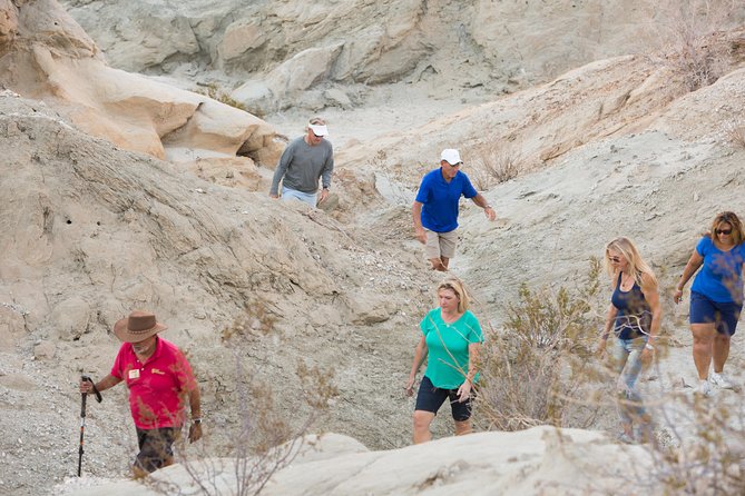 San Andreas Fault Jeep Tour From Palm Desert - Traveler Reviews