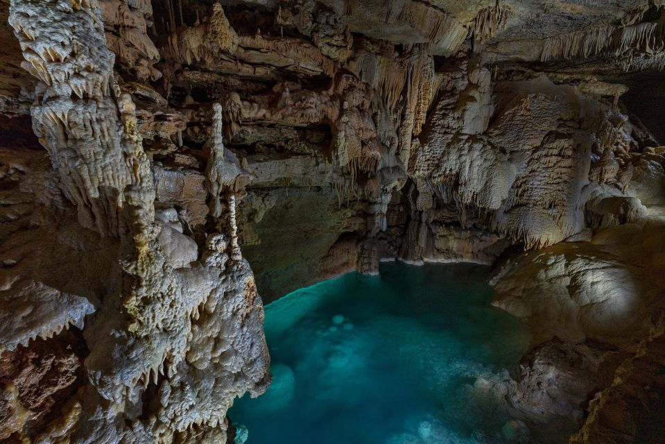 San Antonio: Discovery Tour at Natural Bridge Caverns - Customer Feedback and Ratings