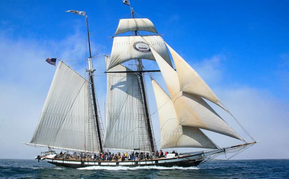 San Diego: Californian Tall Ship Sailing and Maritime Museum - What to Bring and Expect