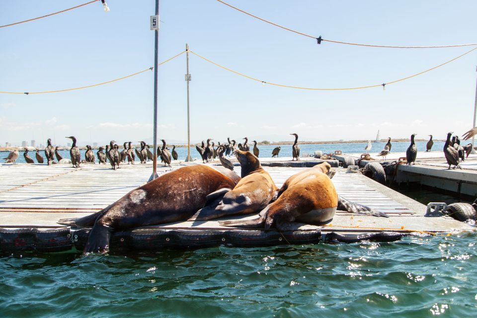 San Diego: Drive Your Own Speed Boat 2-Hour Tour - Restrictions