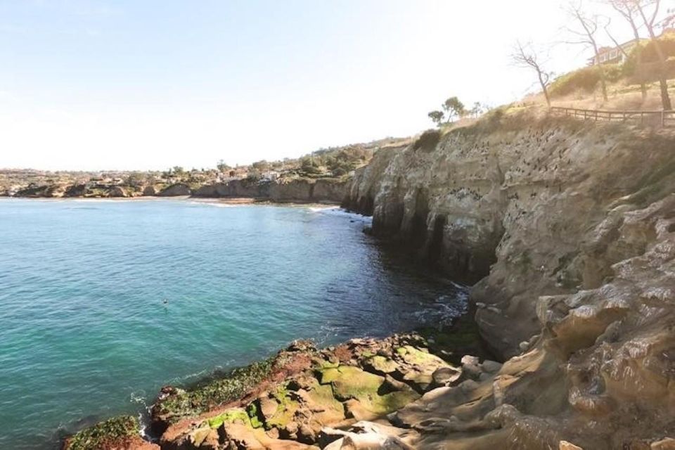 San Diego: La Jolla Cove Guided Snorkeling Tour - Wetsuit and Equipment Rental