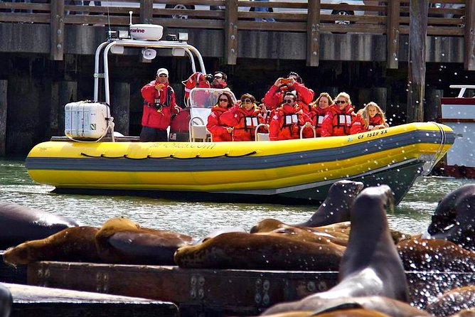 San Francisco Bay Adventure Sightseeing Cruise - Customer Reviews and Experiences