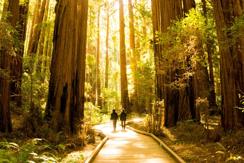 San Francisco: Hop-On Hop-Off + Muir Woods Tour - Charming Town of Sausalito