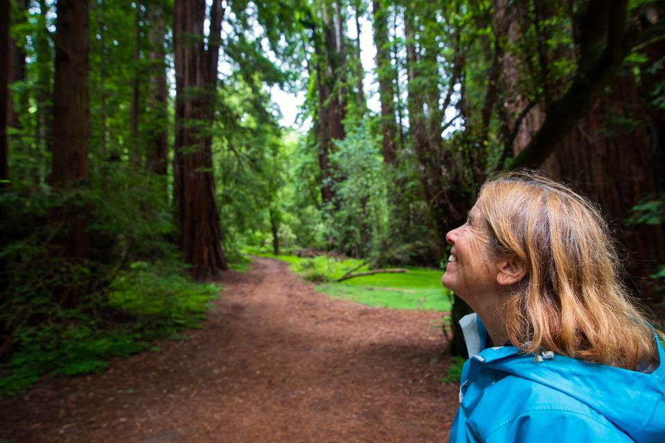 San Francisco: Morning Muir Woods & Sausalito Tour W/ Ferry - Important Information