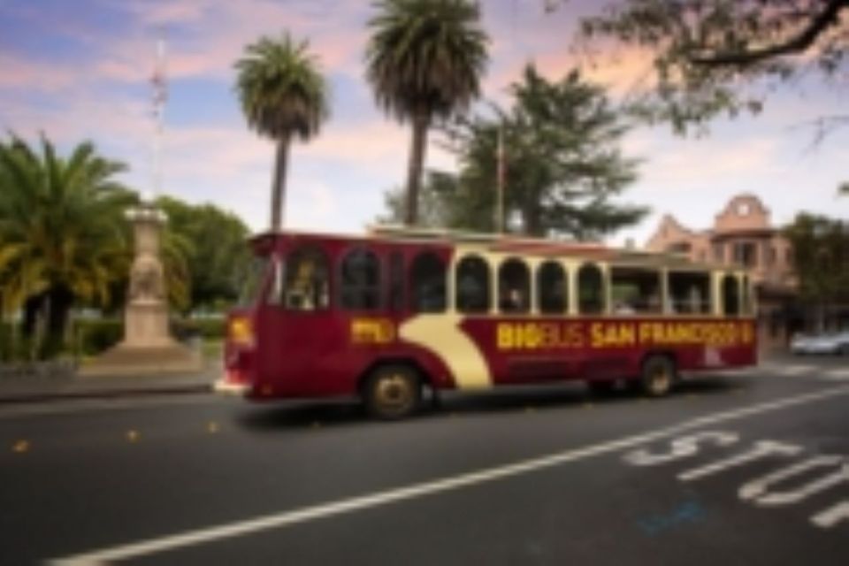 San Francisco: Panoramic Sunset Tour by Open-Top Bus - Sunglasses Recommended for Top Seating